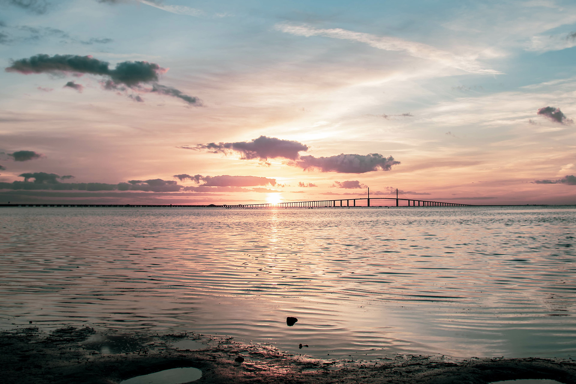 Citrus Park Dental Office