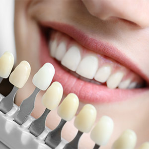 Citrus Park Dental Office